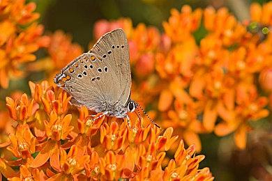 《忍者龙剑传：狂暴之境》回归 但前路仍然遍布坎坷